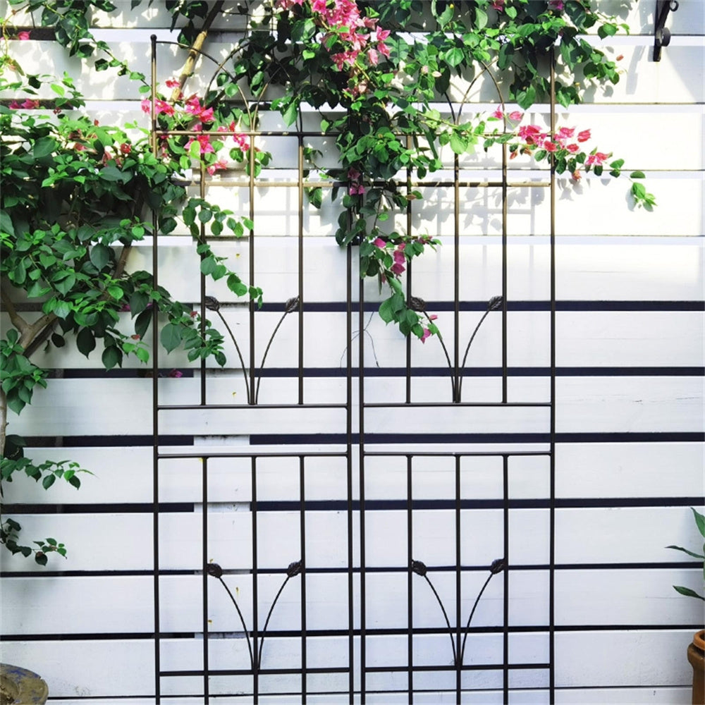Climbing Plant Support